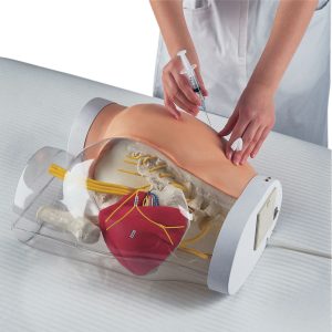 2-in-1 Intramusculaire Injectie Simulator Bil