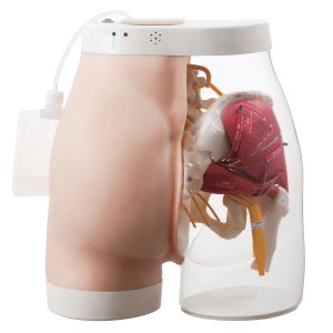2-in-1 Intramusculaire Injectie Simulator Bil