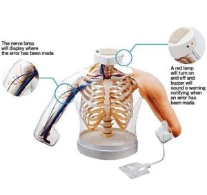 2-in-1 Intramusculaire Injectie Simulator Schouder en Arm