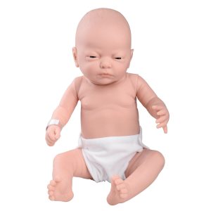 Babymodellen