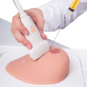 Borstmodel met cysten