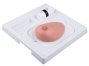 Borstmodel met tumoren