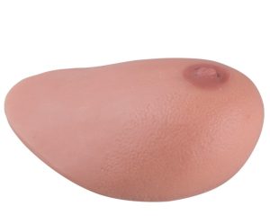 Borstmodel met tumoren