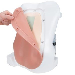 Epidurale & spinale punctie oefenfantoom