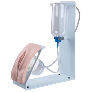 Basis Katheterisatie Simulator, Vrouw