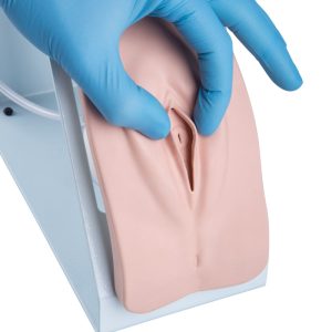 Basis Katheterisatie Simulator, Vrouw