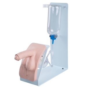 Basis Katheterisatie Simulator, Man