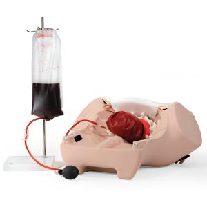 Post-partumbloeding trainer