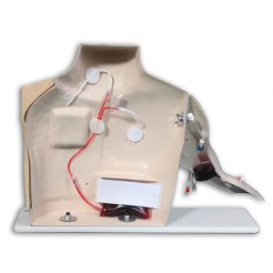 Chester Chest met Poorttoegang Arm
