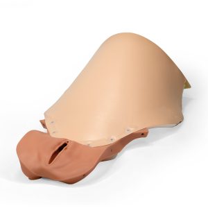 Buik en Vagina voor Post-partumbloeding trainer