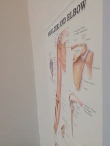 3D Reliëf Poster Schouder en Elleboog