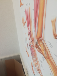 3D Reliëf Poster Voet en Enkel