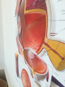 3D Reliëf Poster Oog Groot
