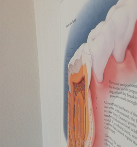 3D Reliëf Poster Het Gebit