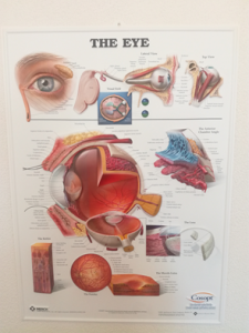 3D Reliëf Poster Oog Groot