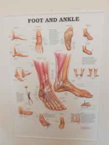 3D Reliëf Poster Voet en Enkel