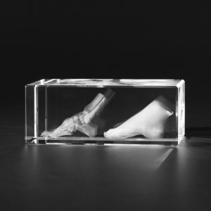 Voet en Voetskelet Glasblok