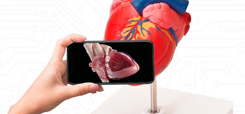 3B Smart Anatomy App