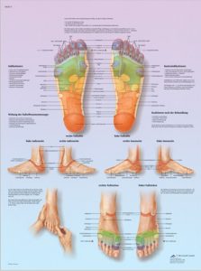 Voetreflex zone Massage, gelamineerde wandplaat