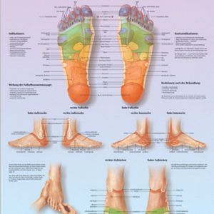 Voetreflex zone Massage, gelamineerde wandplaat