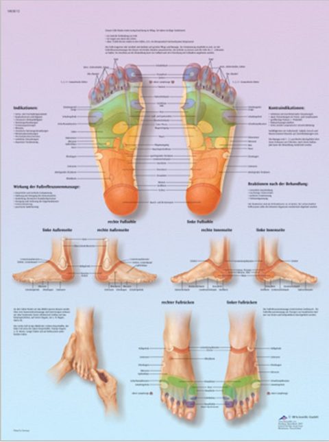 Voetreflex zone Massage, gelamineerde wandplaat