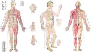 Body Acupuncture, gelamineerde wandplaat
