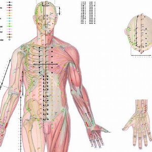 Body Acupuncture, gelamineerde wandplaat