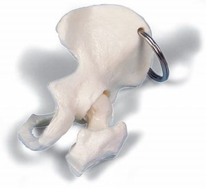 Sleutelhanger Heup