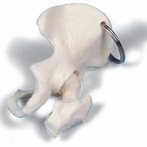 Sleutelhanger Heup