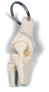 Sleutelhanger Knie