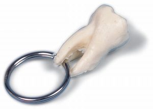 Sleutelhanger Kies