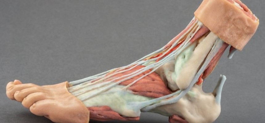 3D Print Modellen