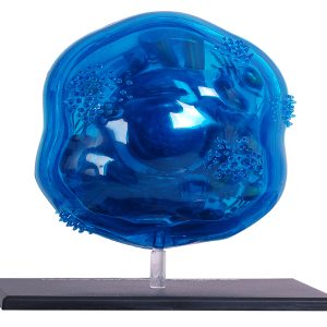 4D Science Dierencel Model
