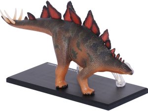 4D Stegosaurus Model