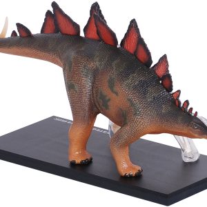 4D Stegosaurus Model