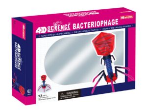 4D Bacteriofaag Model, 13-delig, 18 cm