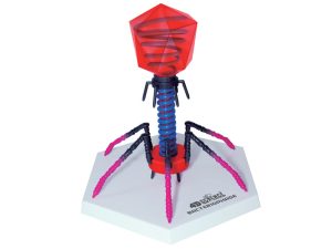 4D Bacteriofaag Model, 13-delig, 18 cm