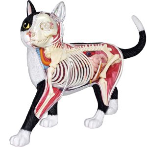 4D Kat Model, 28-delig, 28,5 cm