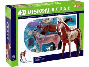 4D Paard Model, 26-delig, 18,5 cm