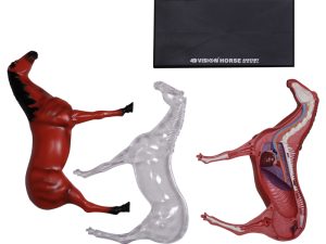 4D Paard Model, 26-delig, 18,5 cm