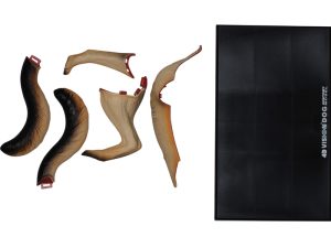 4D Hond Model, 29-delig, 17cm