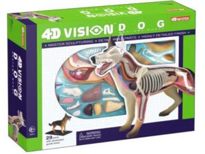 4D Hond Model, 29-delig, 17cm