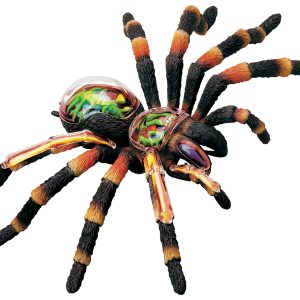 4D Vogelspin Model, 33-delig, 21 cm