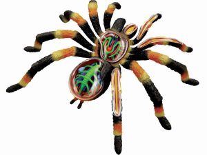 4D Vogelspin Model, 33-delig, 21 cm