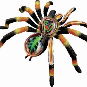 4D Vogelspin Model, 33-delig, 21 cm