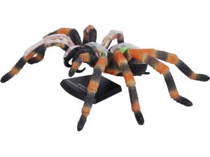 4D Vogelspin Model, 33-delig, 21 cm