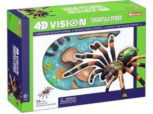 4D Vogelspin Model, 33-delig, 21 cm
