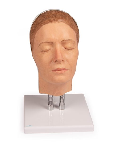 Oefenmodel Injectie Gezicht