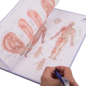 Acupunctuur-Meridianen Notitieblok