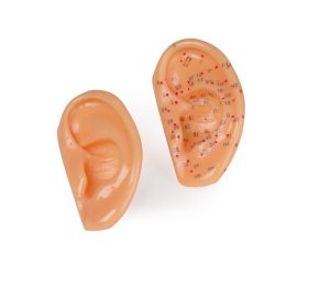 Acupunctuur Oor Set